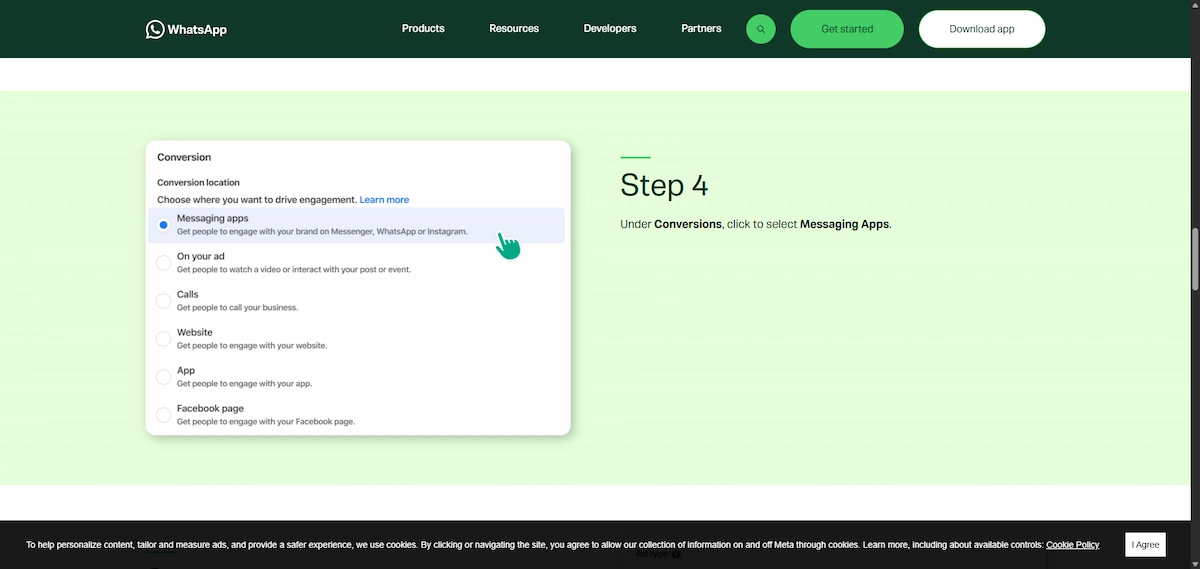 4. Create a catalog and collections