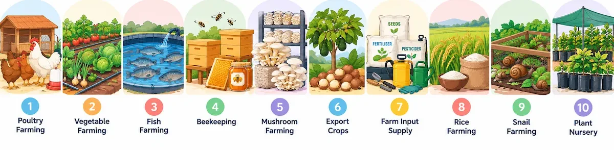 Agribusiness Ideas in Zambia