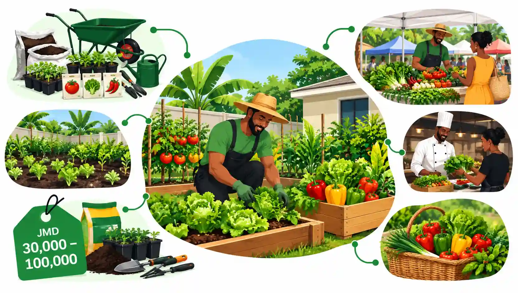 Backyard Farming